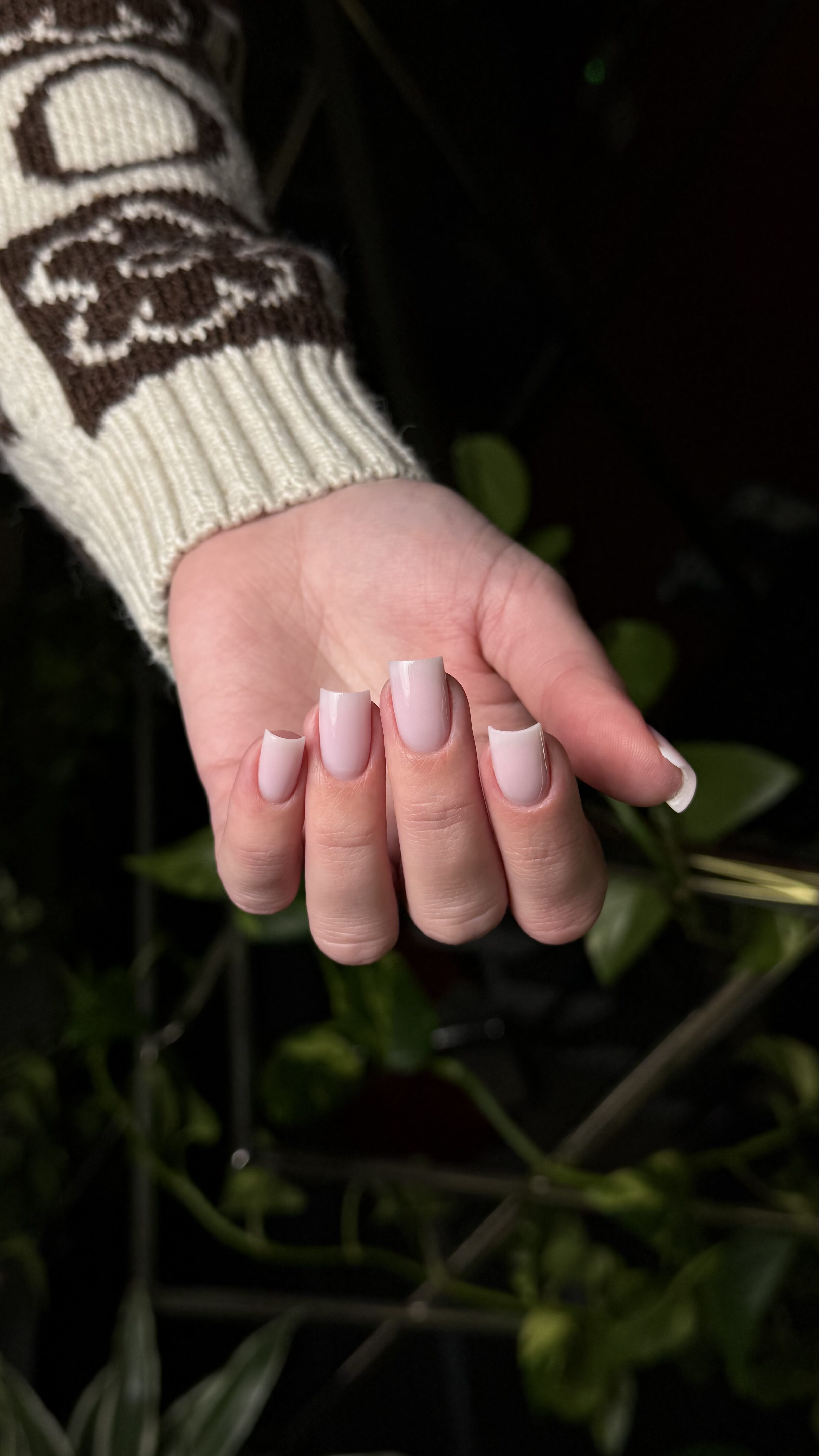 STRONG GEL FRESSIA JZ Nails Group image 3 STRONG GEL FRESSIA JZ Nails Group - Image 3