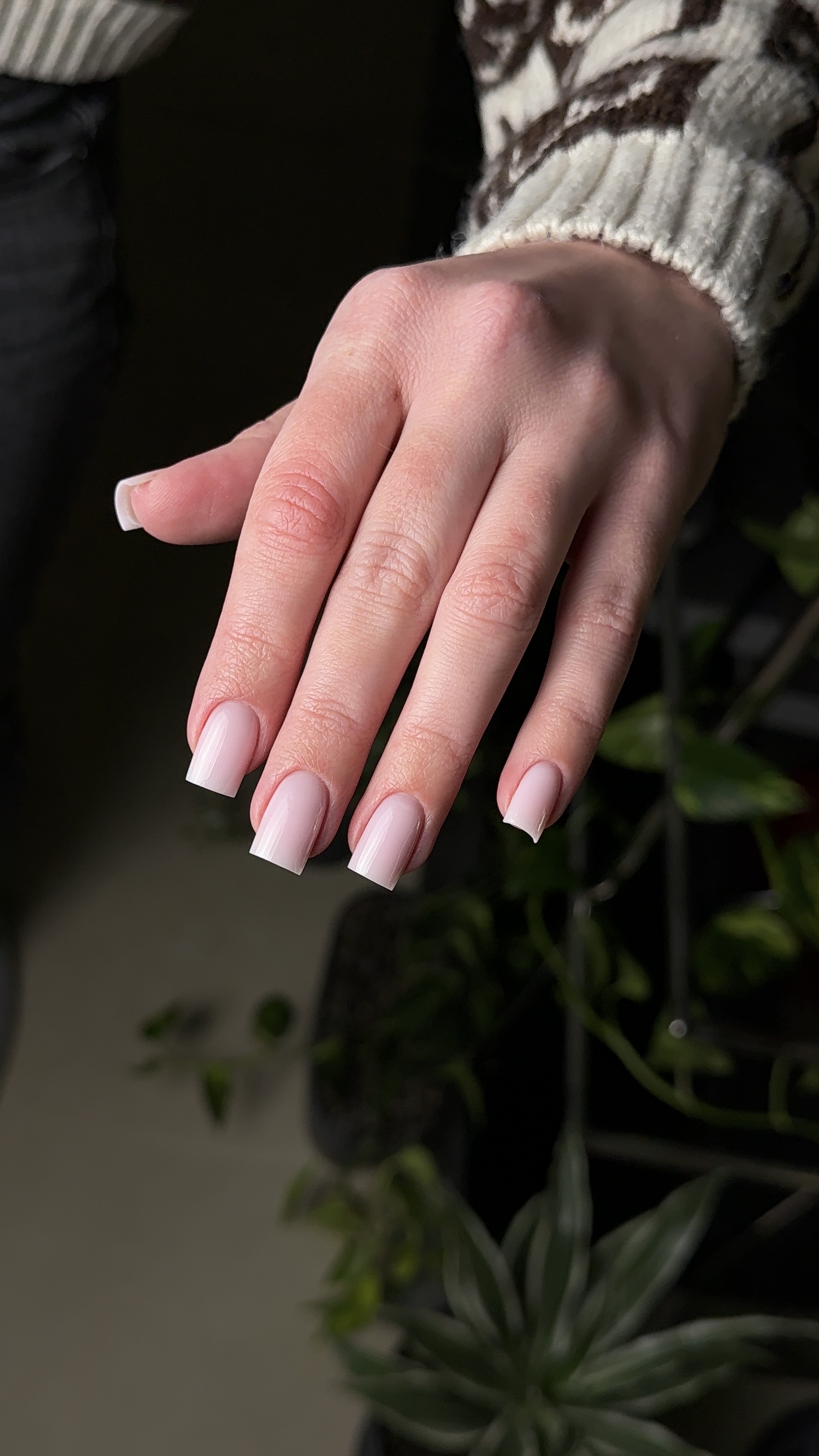 STRONG GEL FRESSIA JZ Nails Group image 4 STRONG GEL FRESSIA JZ Nails Group - Image 4