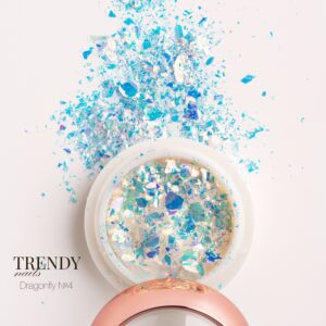 Dragon Fly 4 Trendy nails