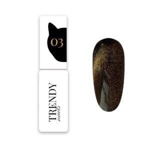 Nail polish CAT'S Eye 3 Trendy nails